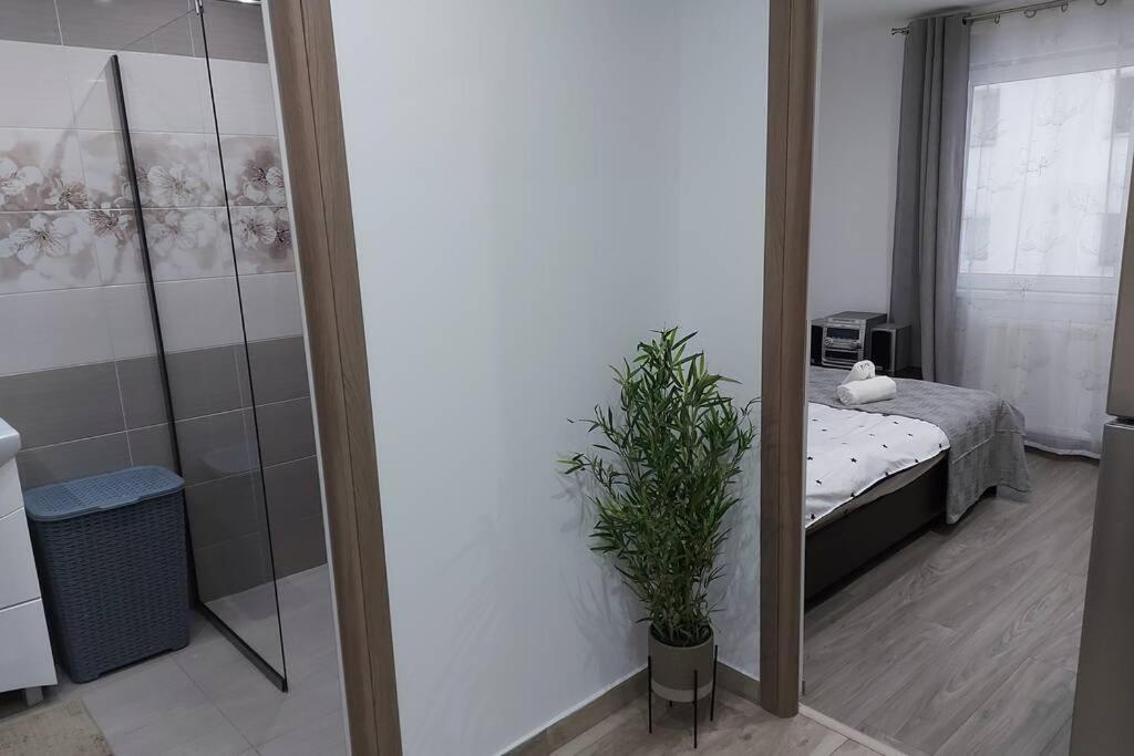 Hidden Apartment Меркуря-Чук Экстерьер фото